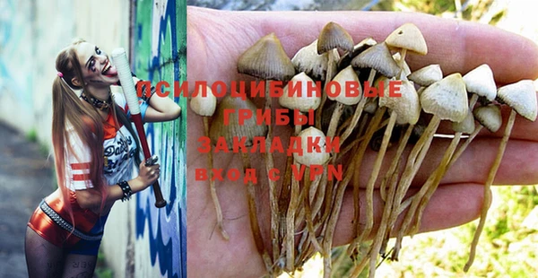 прущие грибы Алексеевка